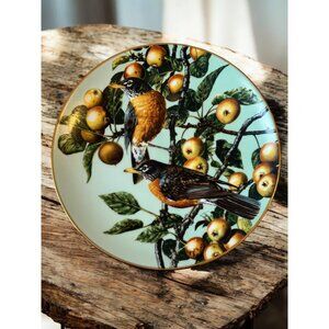 Vtg Portraits of Exquisite Birds Summer Gold the Robin Bradex Collector Plate on